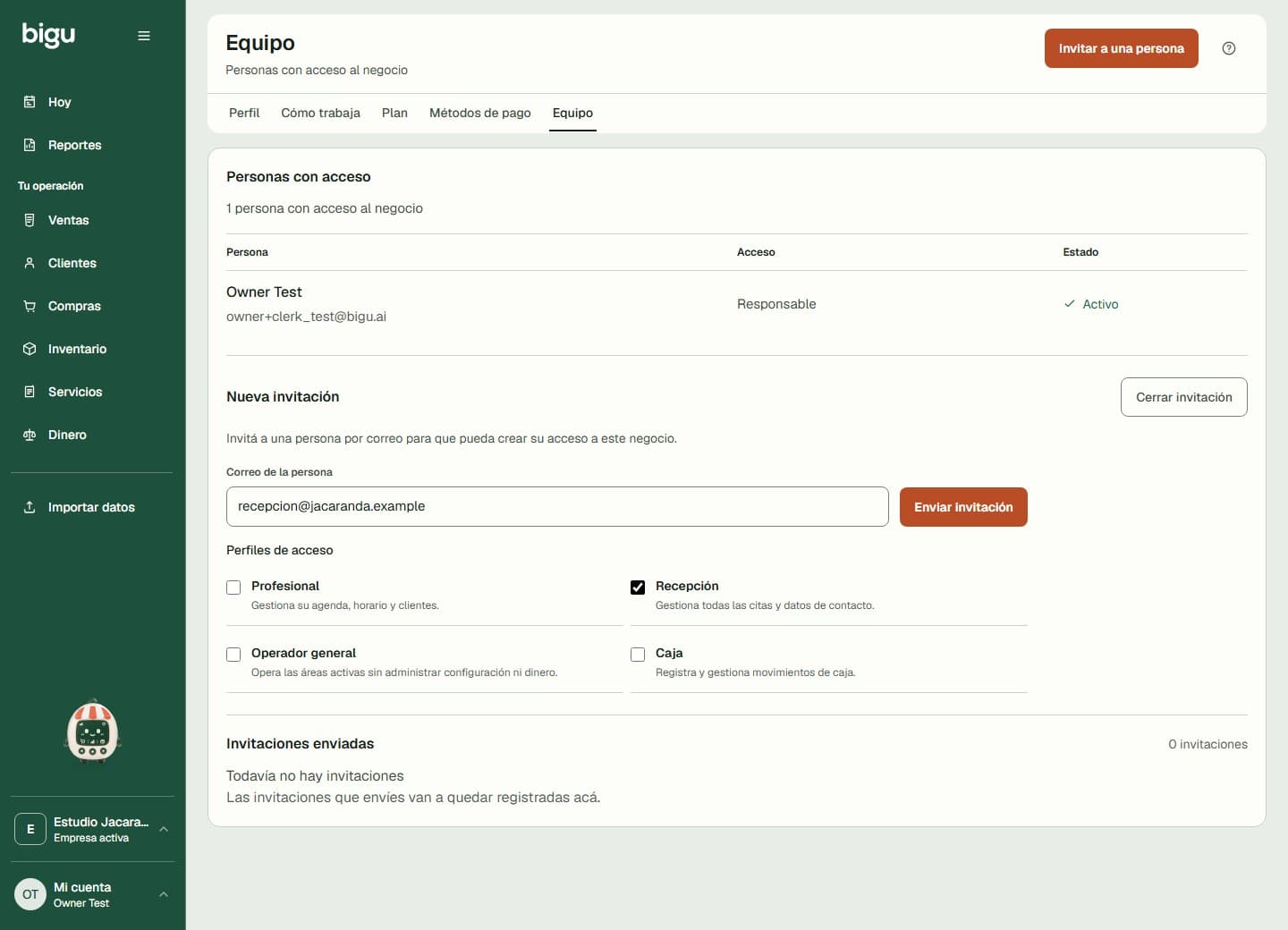 Invitación al equipo con correo y perfiles de acceso.